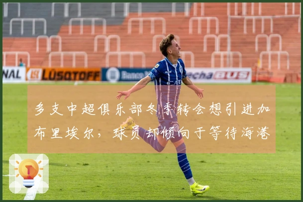 多支中超俱乐部冬季转会想引进加布里埃尔，球员却倾向于等待海港的机会