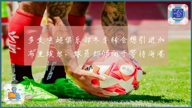 多支中超俱乐部冬季转会想引进加布里埃尔，球员却倾向于等待海港的机会