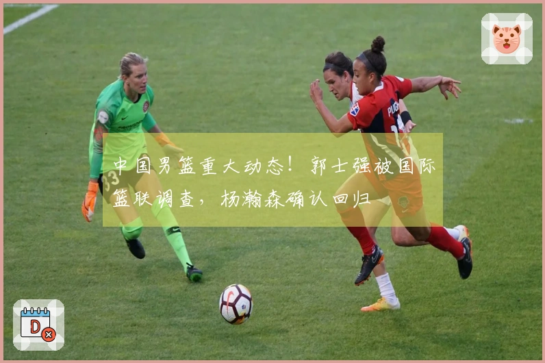 中国男篮重大动态！郭士强被国际篮联调查，杨瀚森确认回归